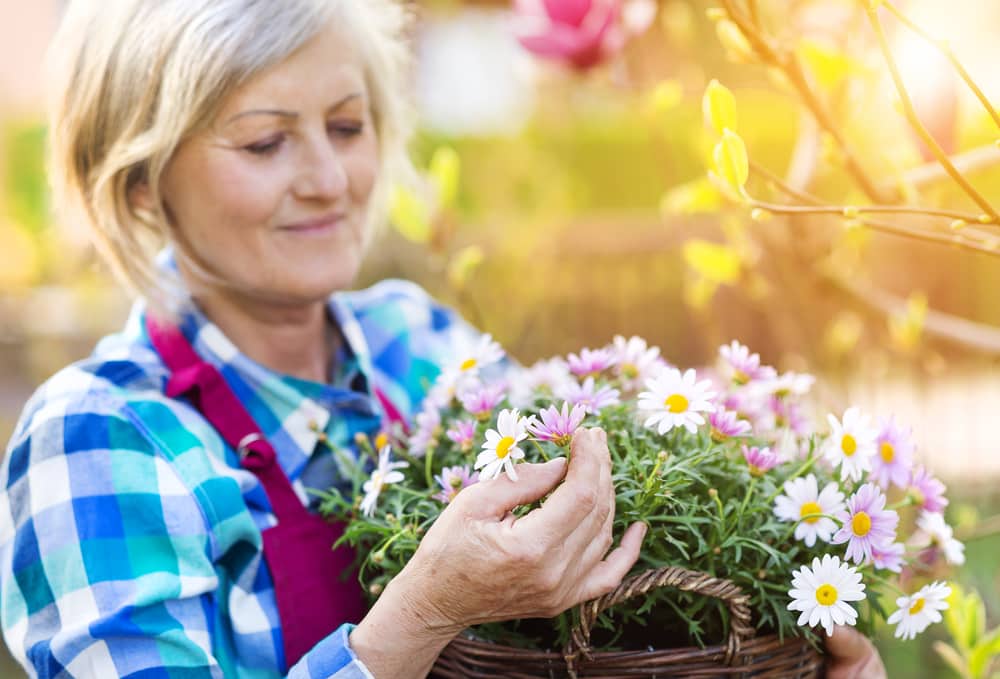 Senior woman gardening flowers
