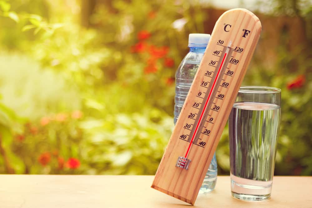 Thermometer reading 110 F on table outside beside glass of water